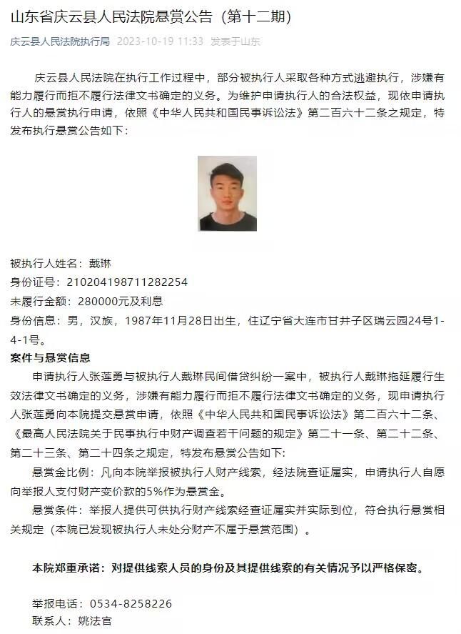 关于通俗黉舍教师成为乌克兰总统的政治笑剧。 他试图在没有“总统特权”的环境下过普通糊口，尽力打造国度的新面孔，并与赃官贪吏作斗争。